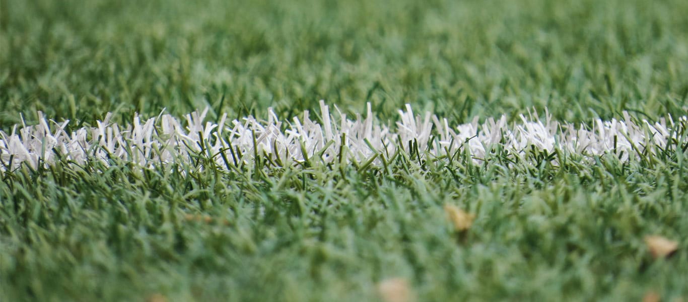 A Review Of Phoenix’s Sports Portfolio